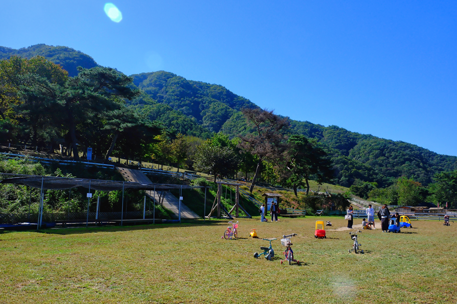 해피초원목장 풍경