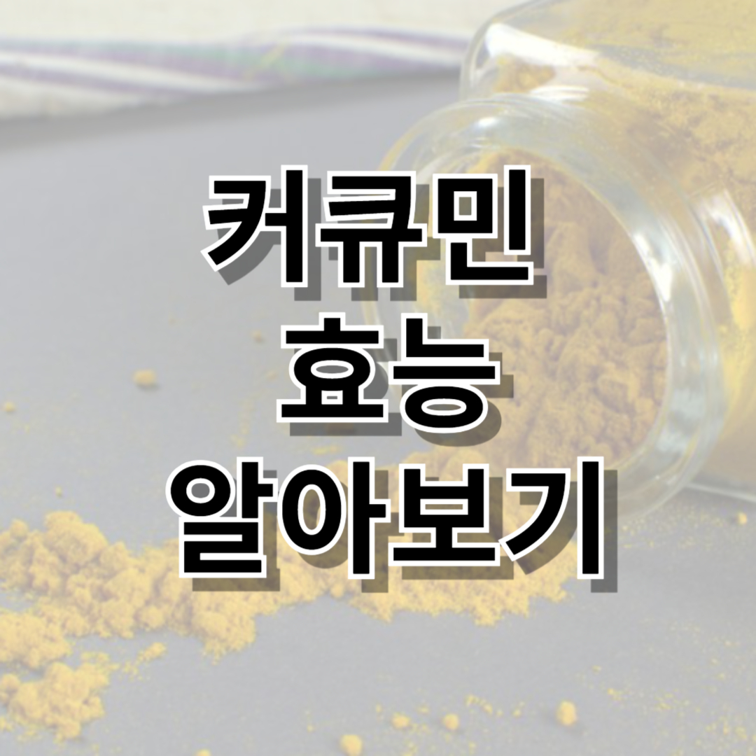 커큐민