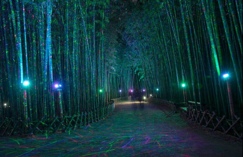 울산여행 태화강 대나무숲 축제 야경 