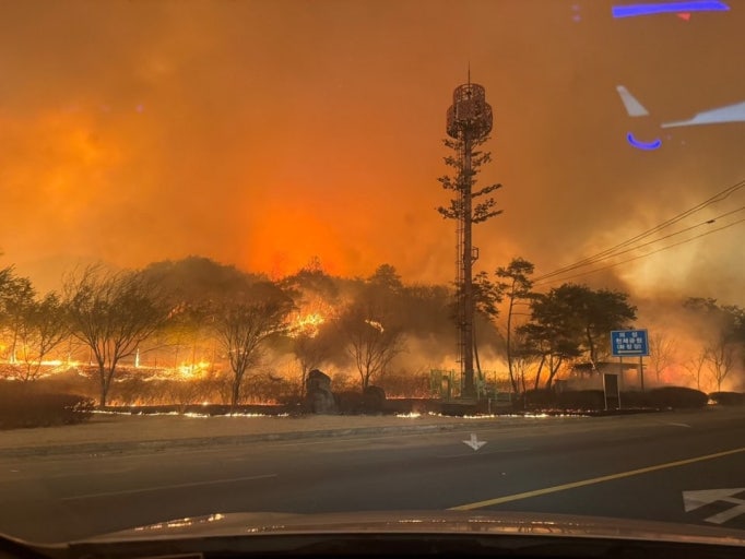 의성 산불 관련 사진