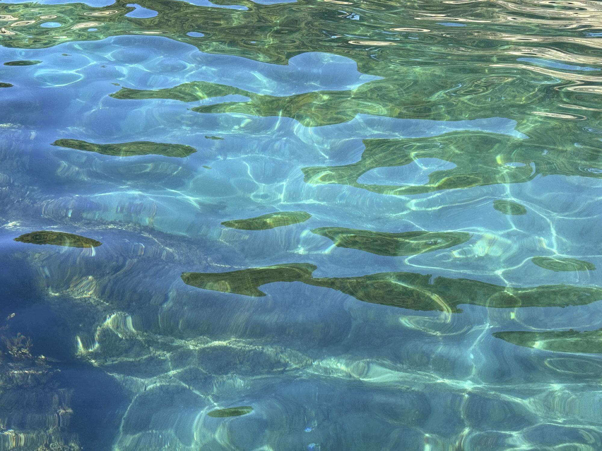 바다 보는 꿈 해몽 총정리 🌊 상황별 의미와 심리 분석
