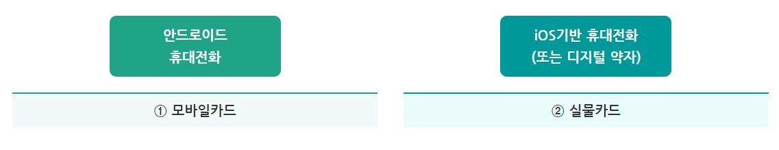 기후동행카드 모바일카드와 실물카드