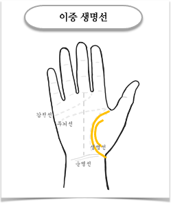 이중생명선