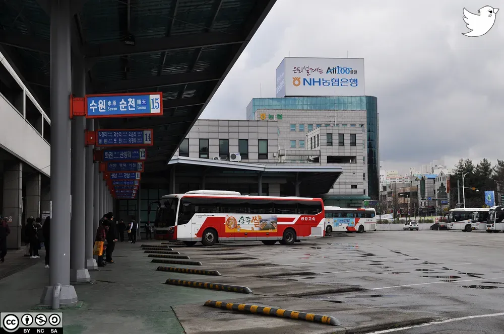 춘천 시외버스터미널 시간표 예매 예약_5