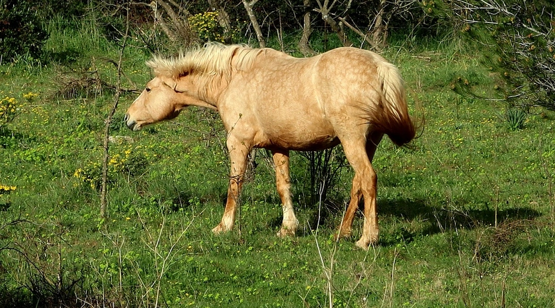 전선 피복 확인 방법