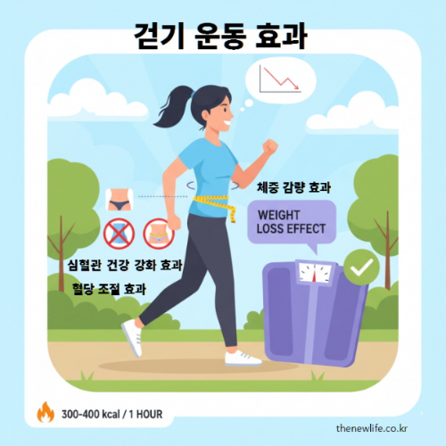 걷기 운동 효과를 나타낸 인포그래픽. 칼로리 소모, 체중 감량, 혈관 건강, 혈당 조절, 정신 건강 효과를 강조한 그림