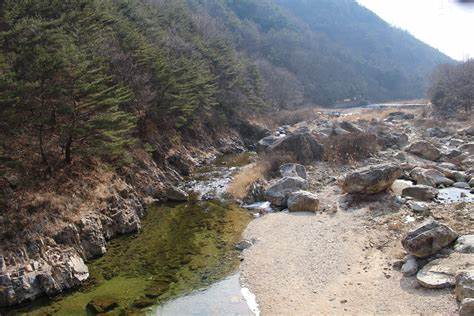 장령산 자연휴양림