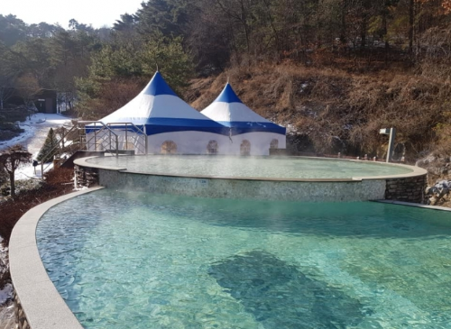 강아지 동반 여행지 추천