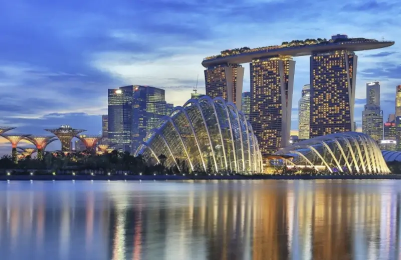 나라별-반입금지음식-싱가포르