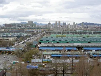 가락동 농산물 경매시세 실시간 확인 완벽 농산물 정보_17