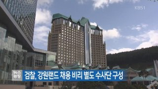 안미현 검사 법조 경력