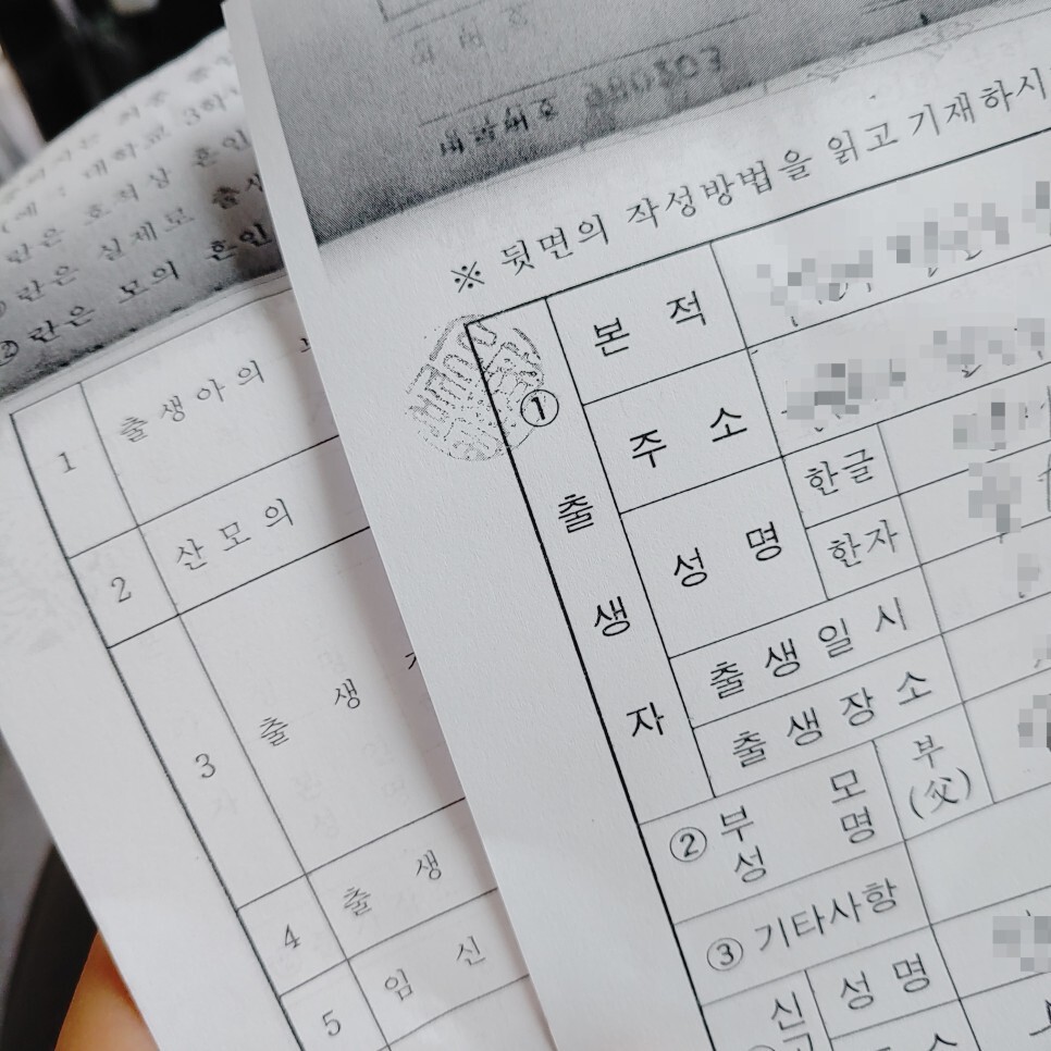 출생신고서 열람 