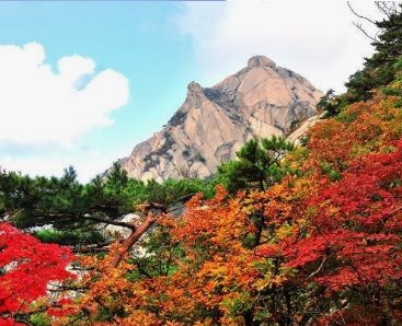 2024년 단풍절정시기