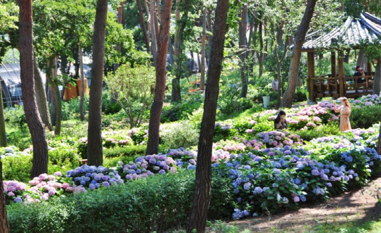 서산 모월힐링숲