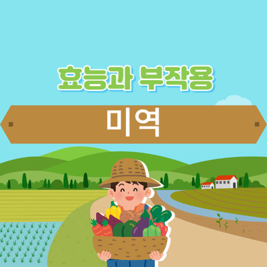 미역의 효능과 부작용