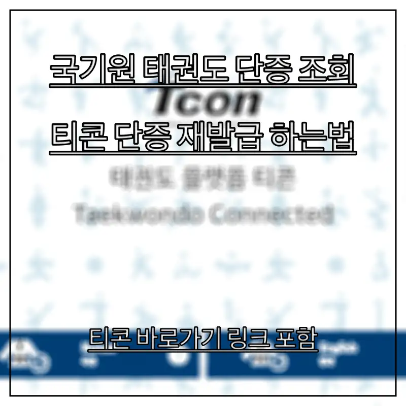 국기원-티콘-홈페이지-모습