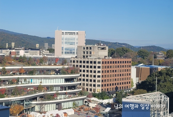 사쿠라마치-버스터미널