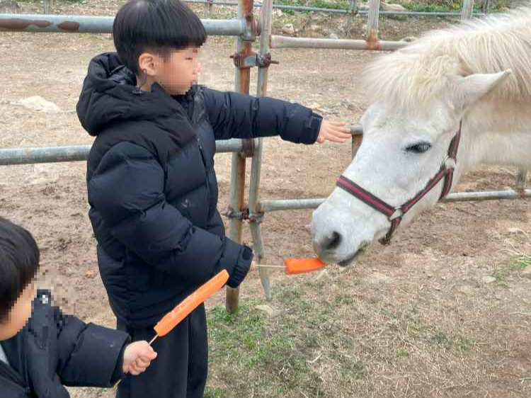 제주도-아이데리고-가볼만한곳-체험