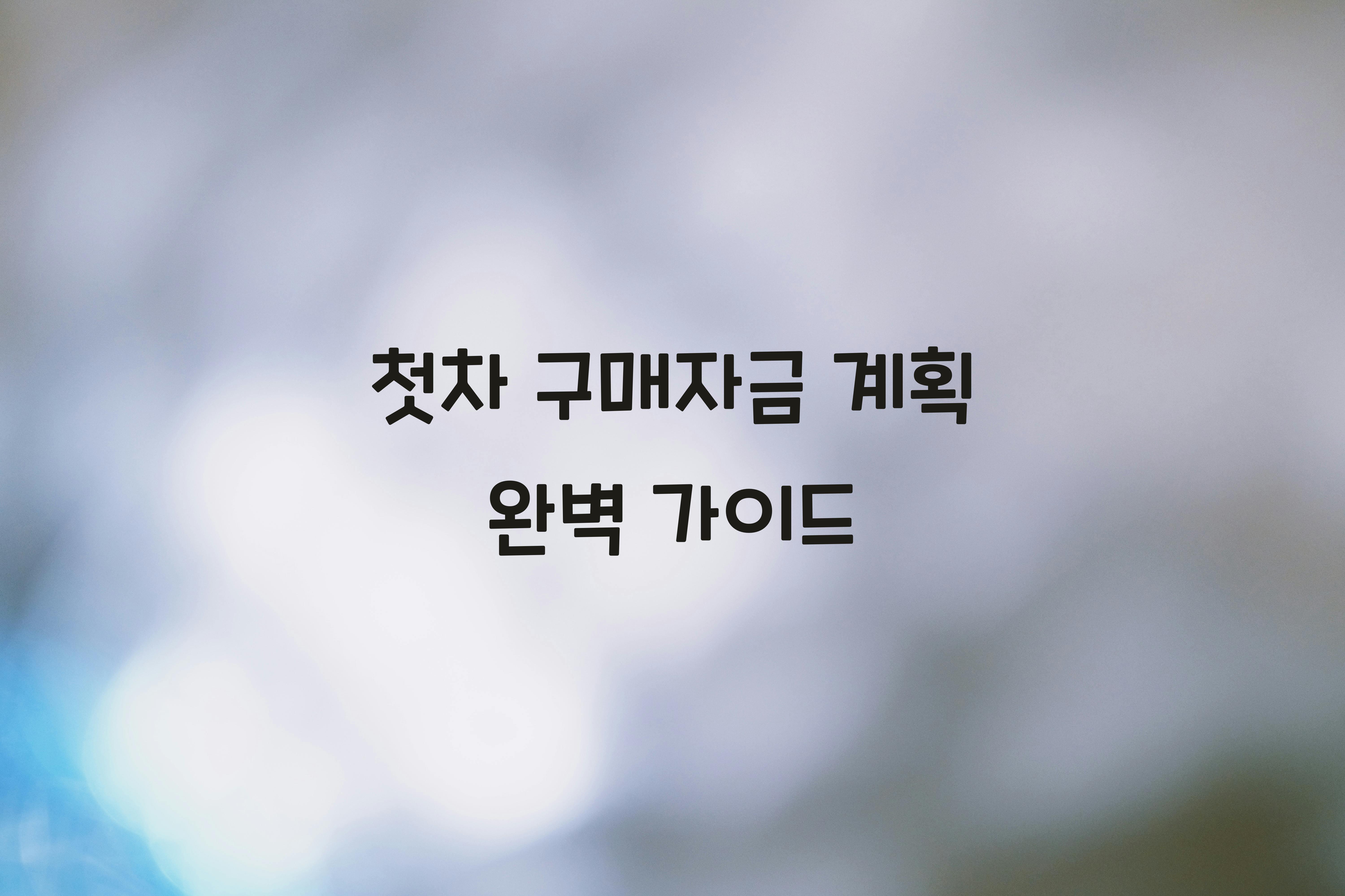 첫차 구매자금 계획