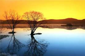 우포늪과 연계 가능한 사찰 힐링 코스 BEST5 (생태+명상+자연 속 산사)