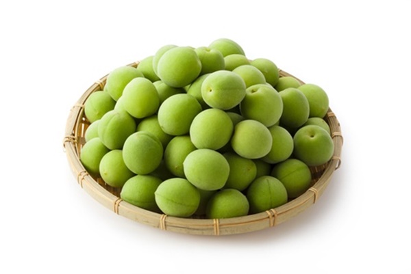 매실 액기스 효능