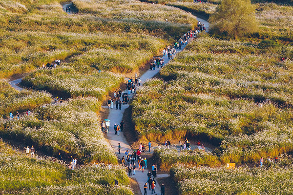 &ldquo;2025 평택호물빛축제 총정리! 불꽃놀이부터 물놀이&amp;#44; 평택 핫여름 축제 완전정복&rdquo;