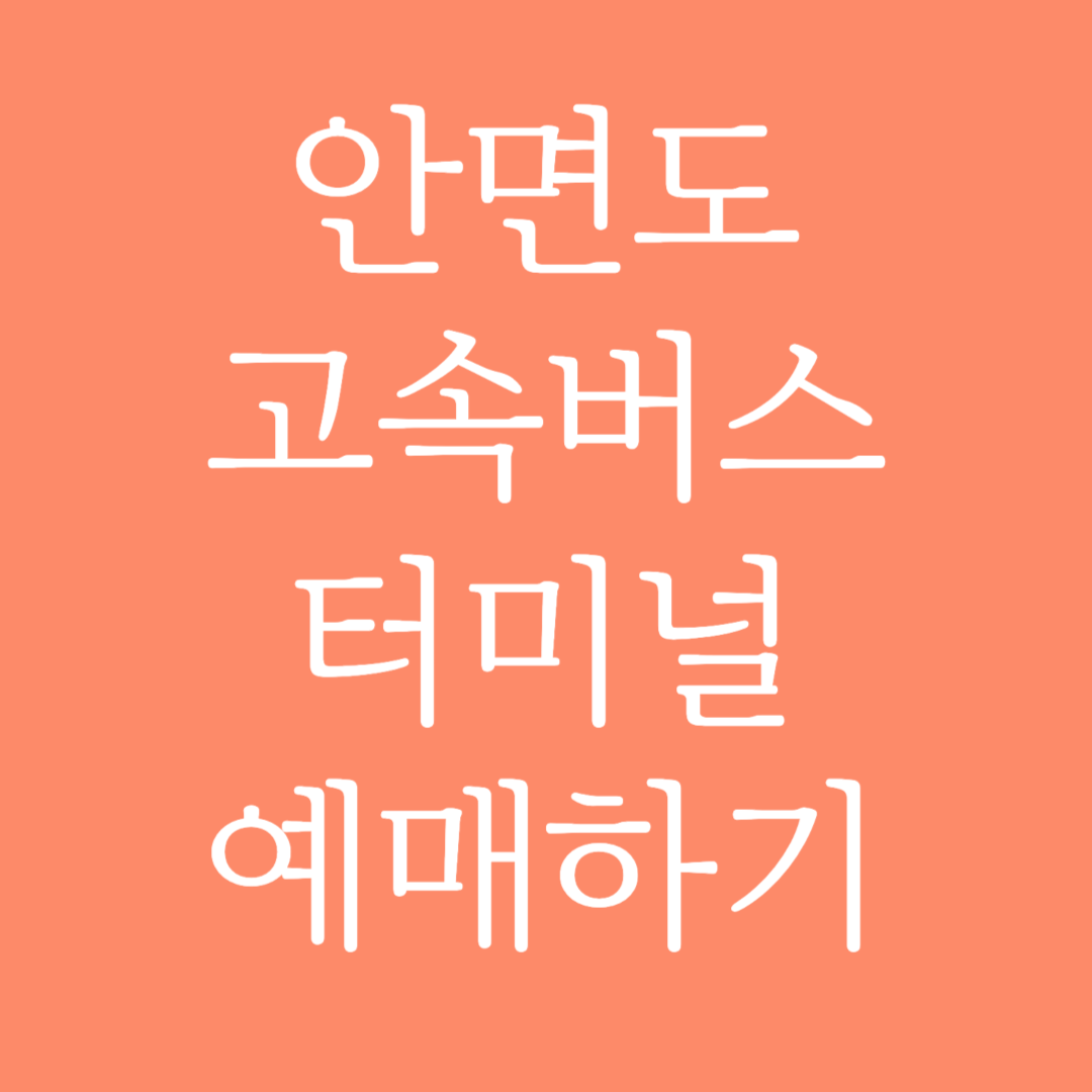 안면도 고속버스터미널 시간표 조회 및 예매하기