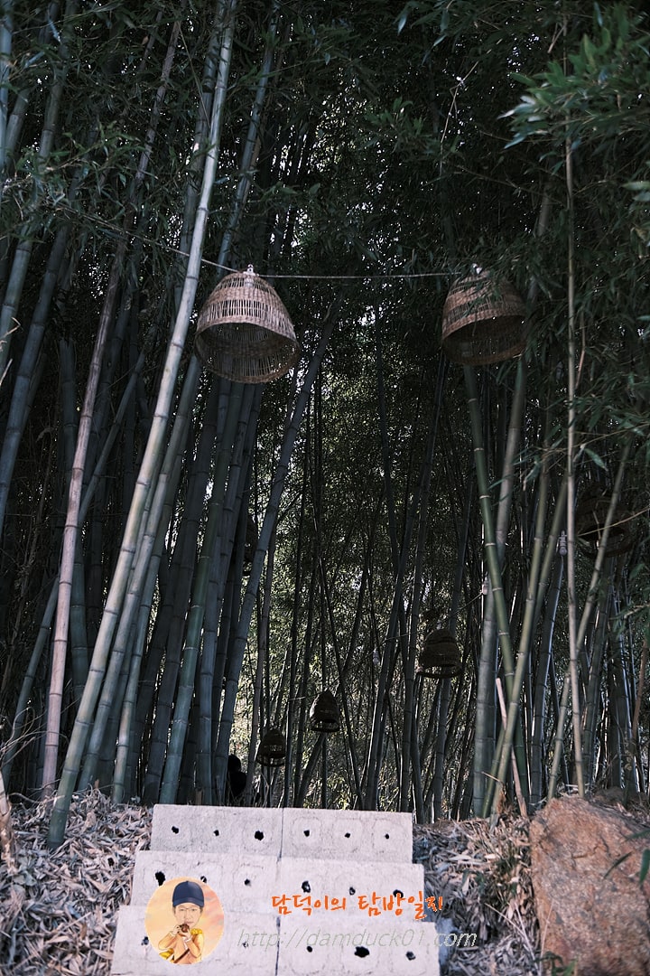 온석커피 앤 온석식당 대나무 숲