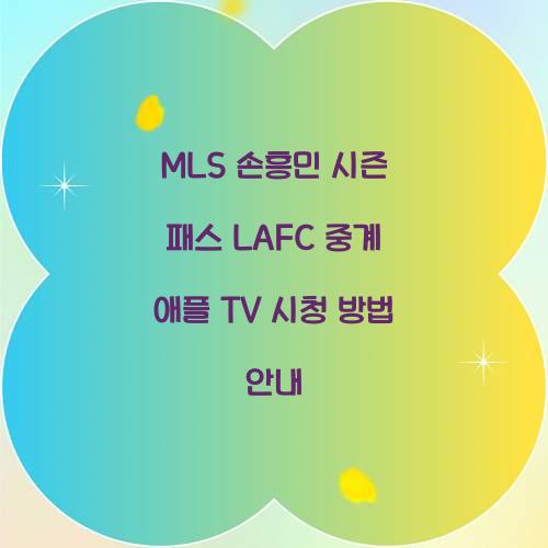 MLS 손흥민 시즌 패스