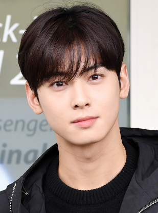 한류 스타 차은우