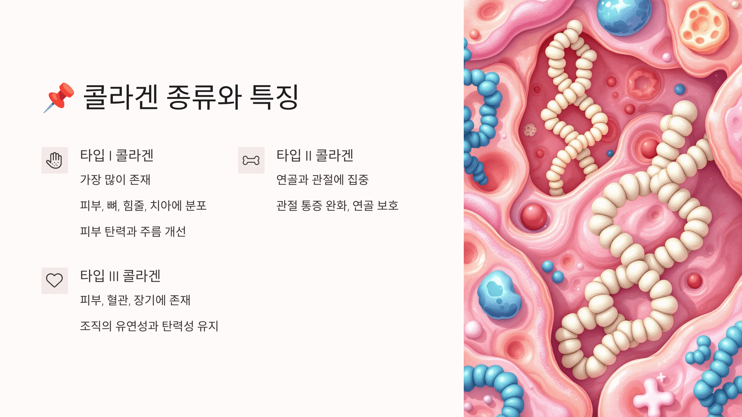 콜라겐과 관련된 사진입니다.