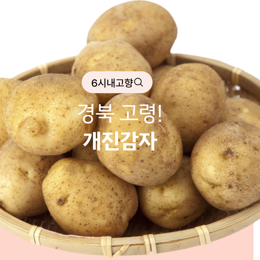 6시내고향 고령 개진감자 썸네일