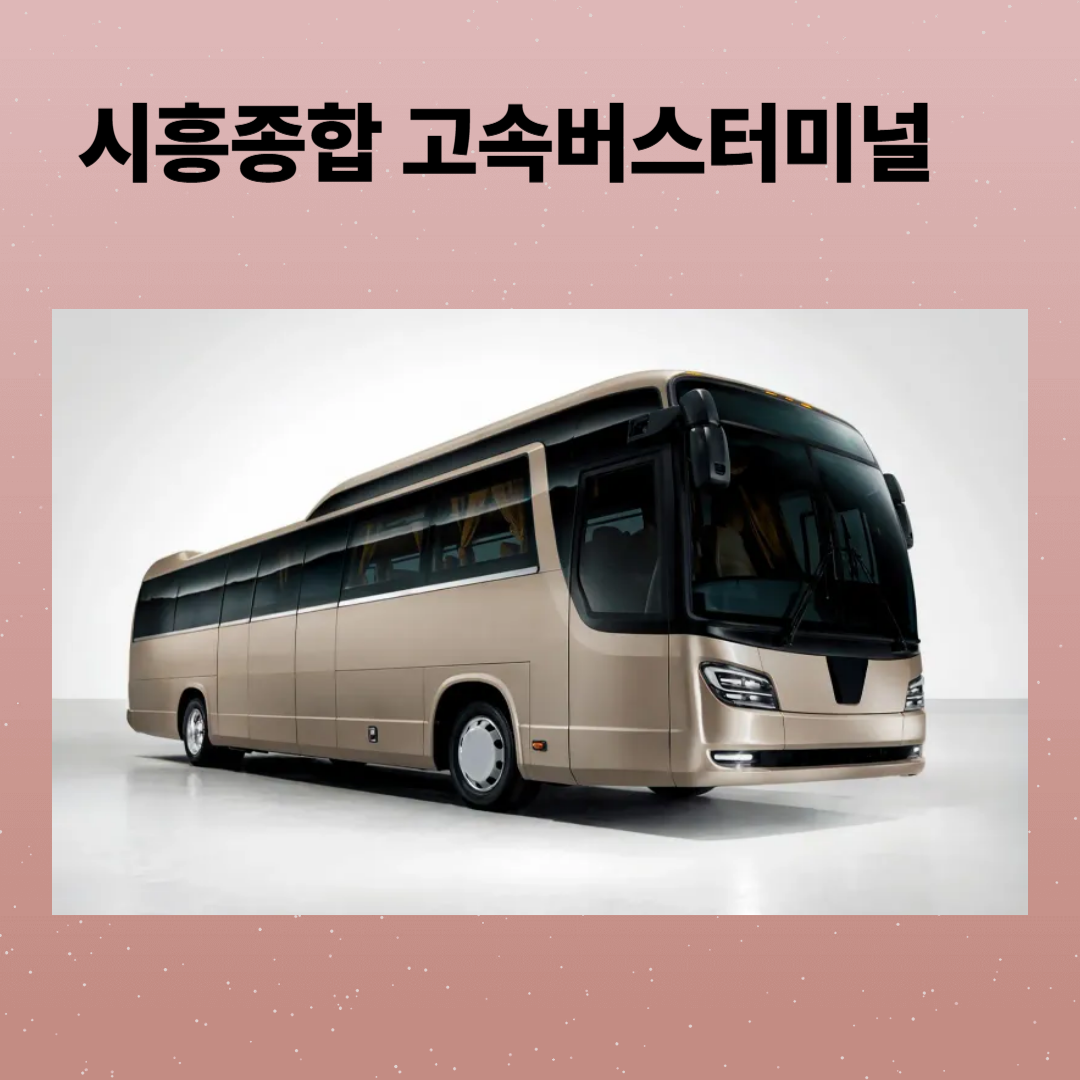 시흥종합고속버스터미널 시간표 및 예매, 주차장 정보와 주변 맛집 총정리