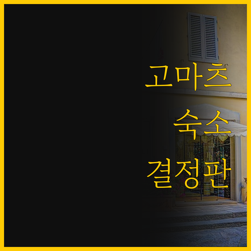 고마츠 역세권 호텔 헨 나 호텔 vs..