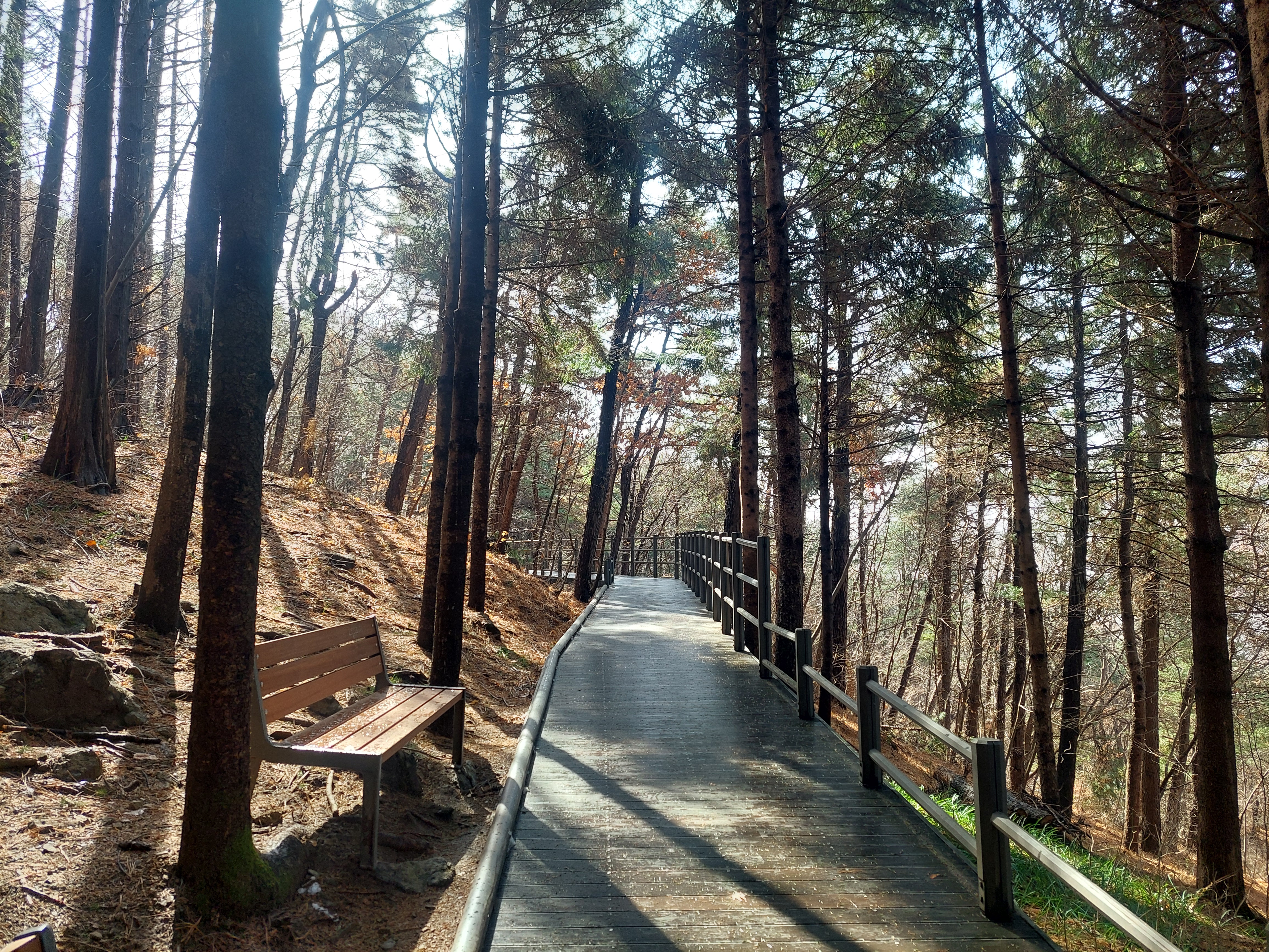 안산