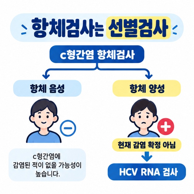 항체 음성, 항체 양성, RNA 양성 여부에 따라 검사 의미가 달라지는 흐름을 정리한 카드