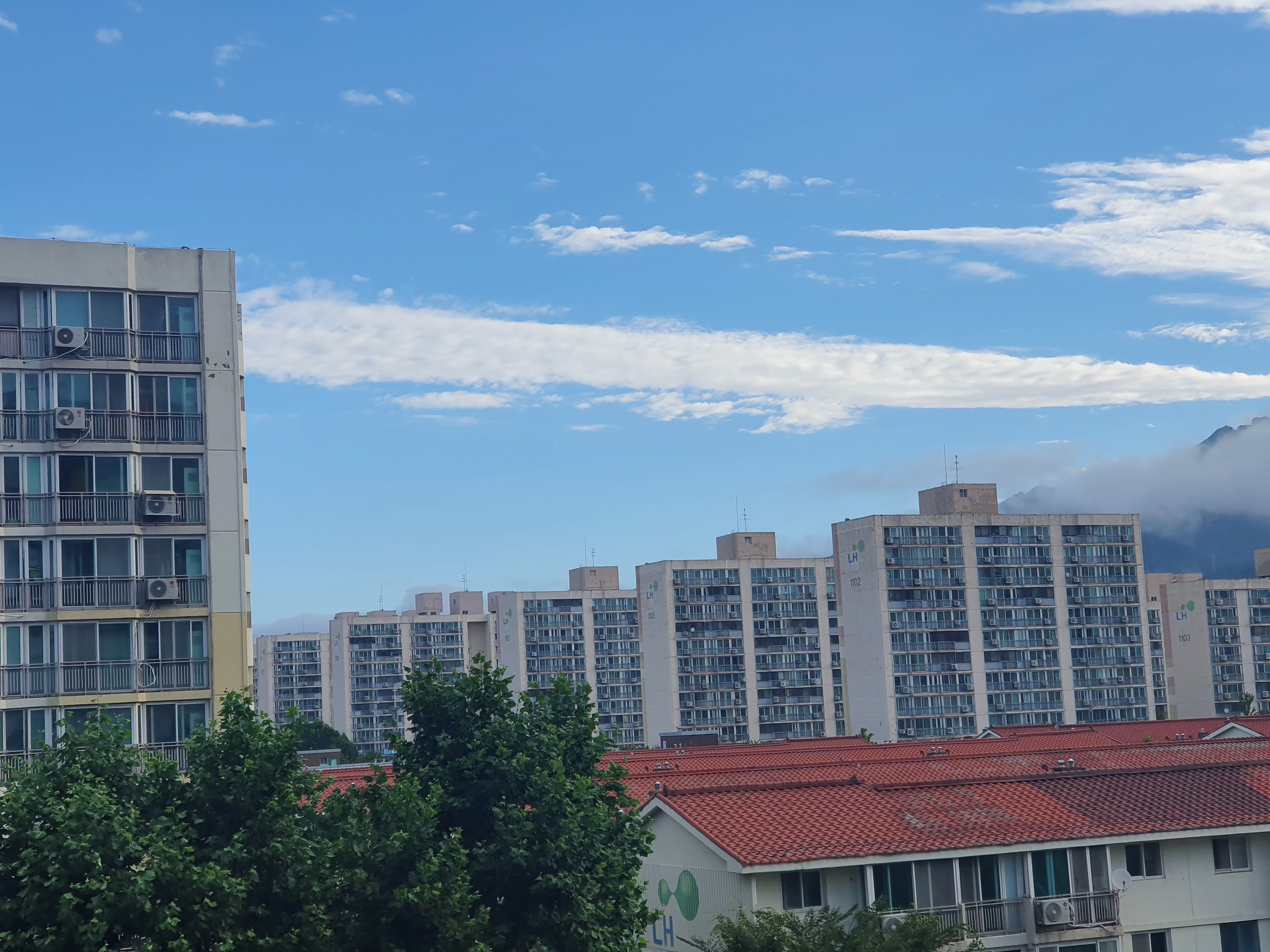 MZ세대, 부동산 투자 이미지