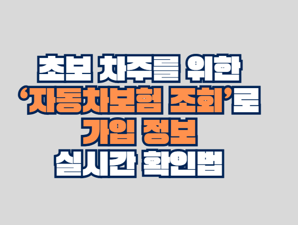 자동차보험 조회