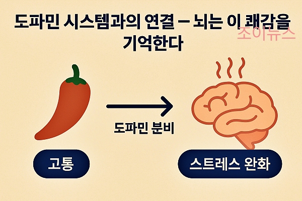 통감을 쾌감으로 바꾸는 뇌의 보상 신호