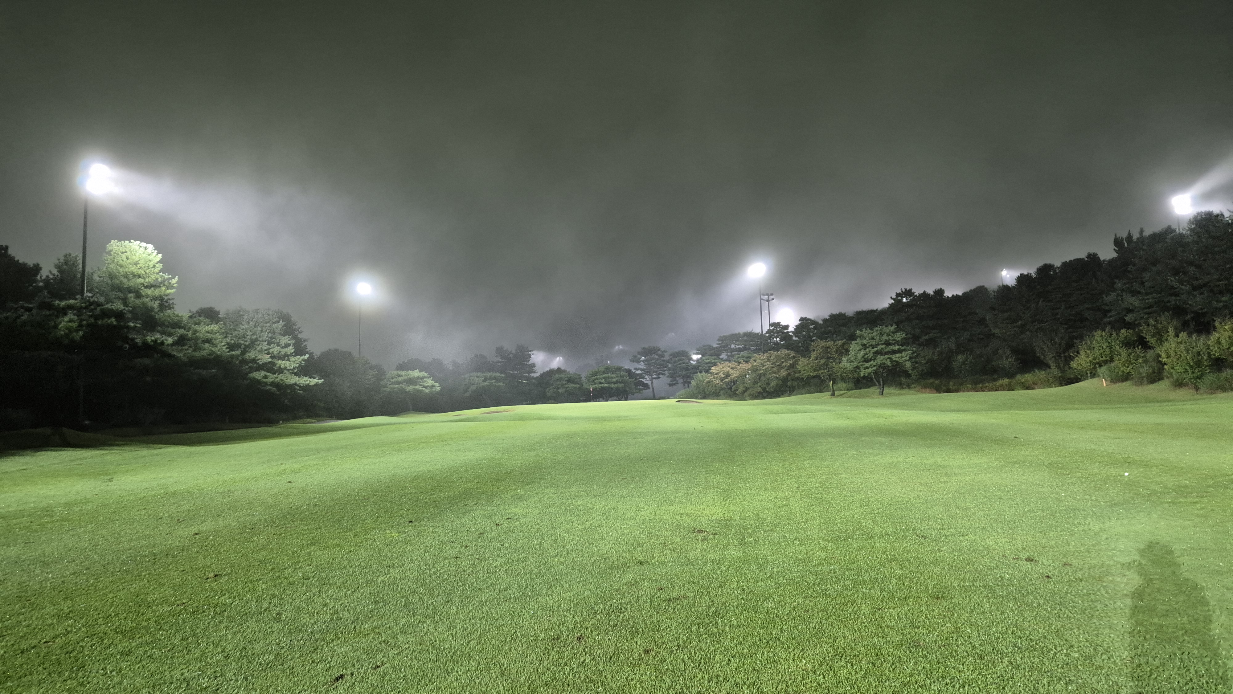 블루원용인cc 중코스