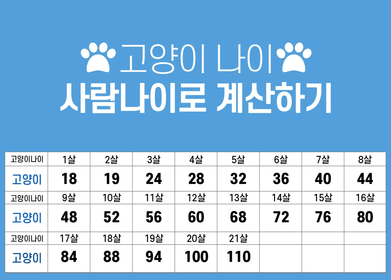 &amp;quot;고양이