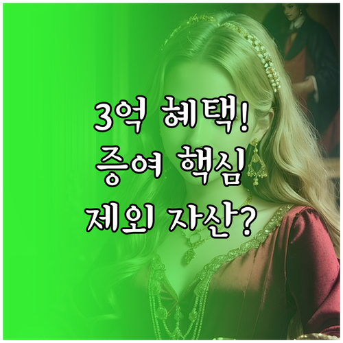 2024년 혼인출산 증여공제 3억 원..