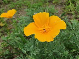 금영화 이미지 사진