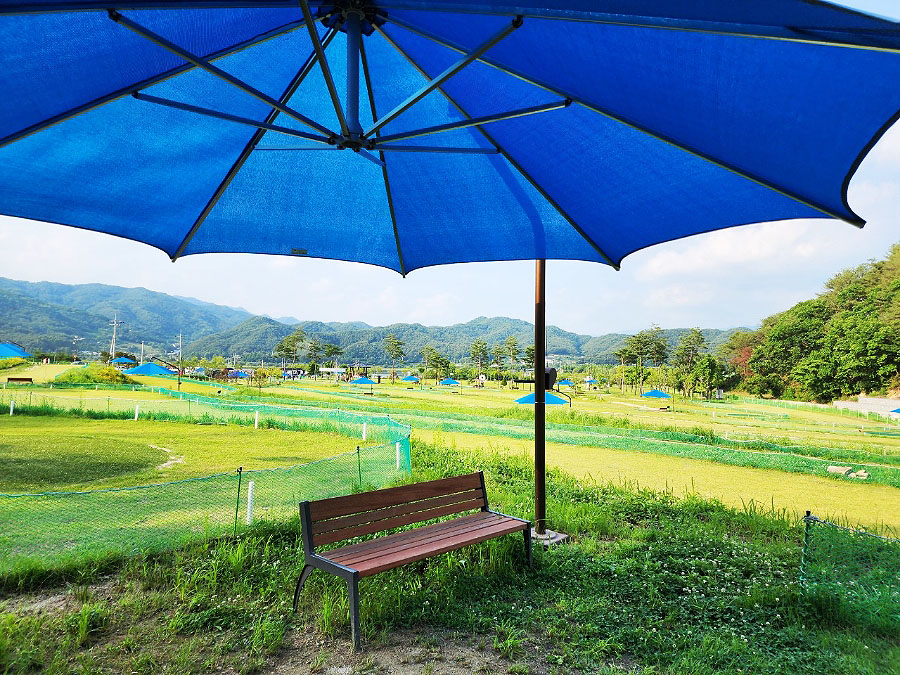 강원도 양구군 양구파크골프장 소개