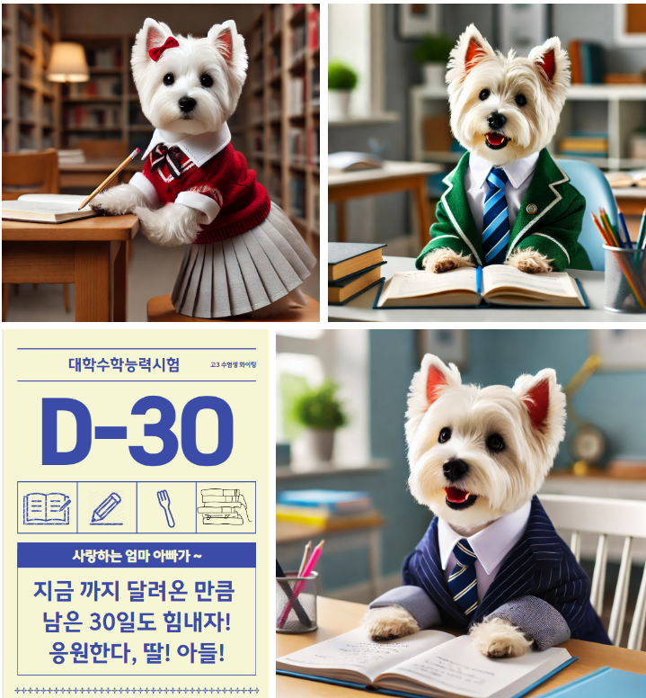 수능 D-30 10