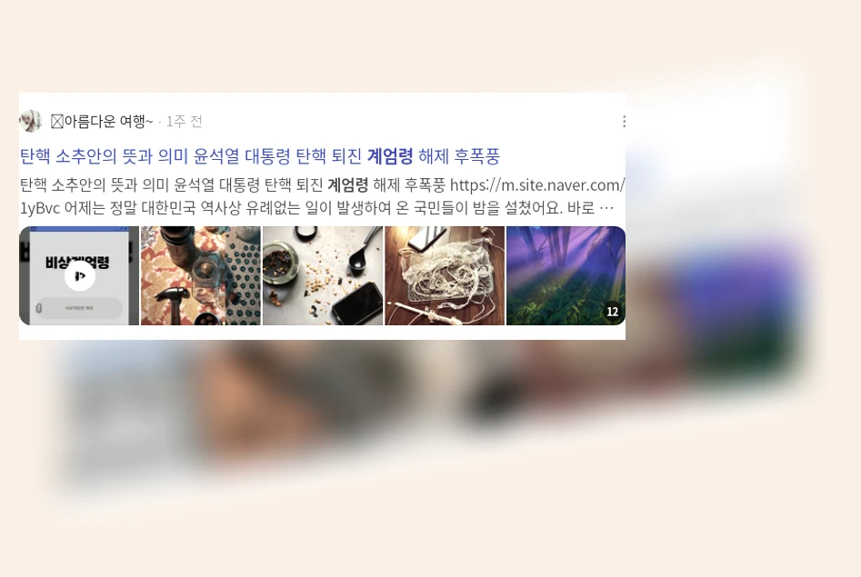 계엄령_2_subsection