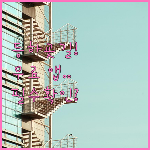 초등학생 등하굣길 안전을 위한 무료 ..