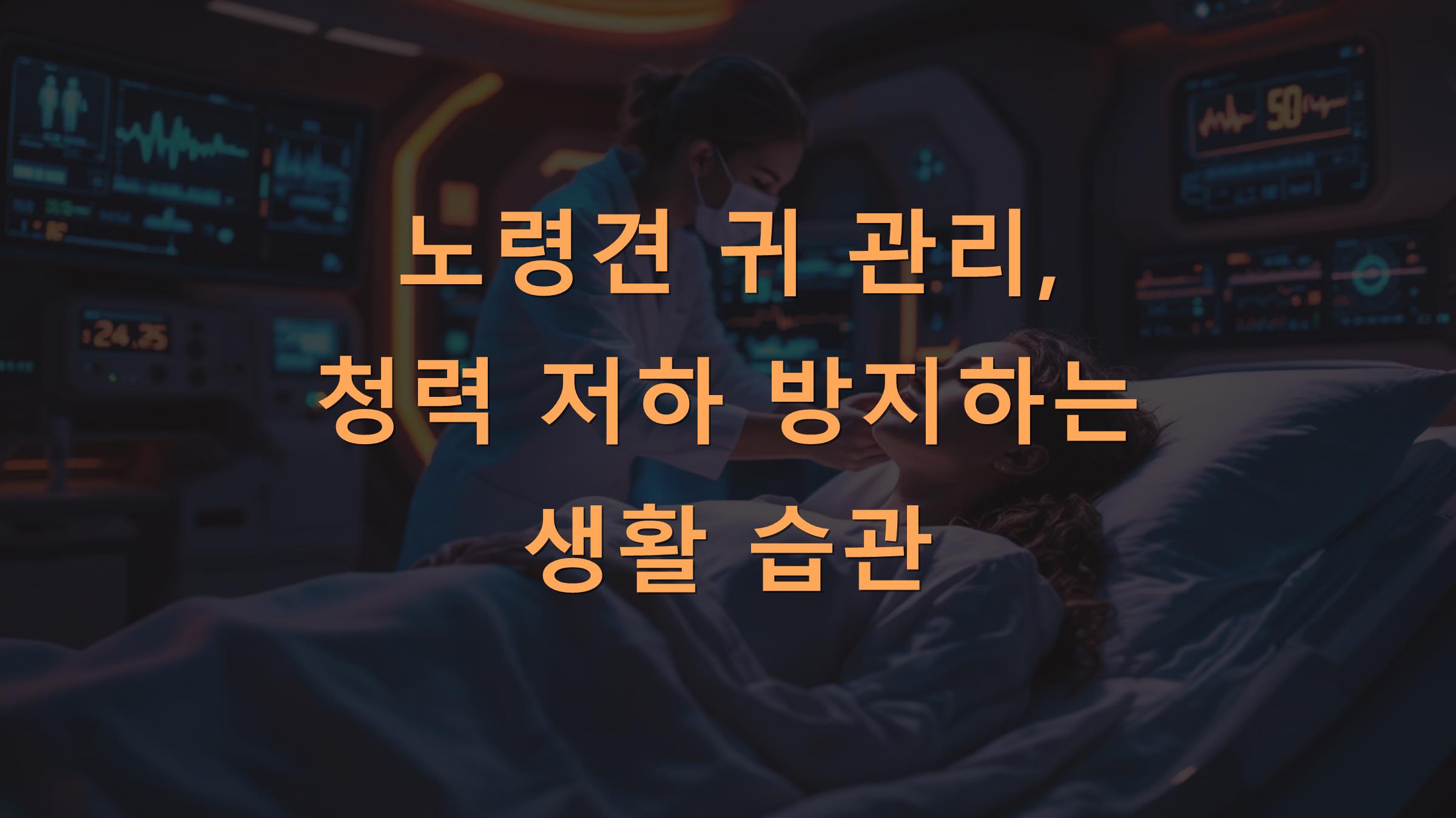 노령견 귀 관리, 청력 저하 방지하는 생활 습관