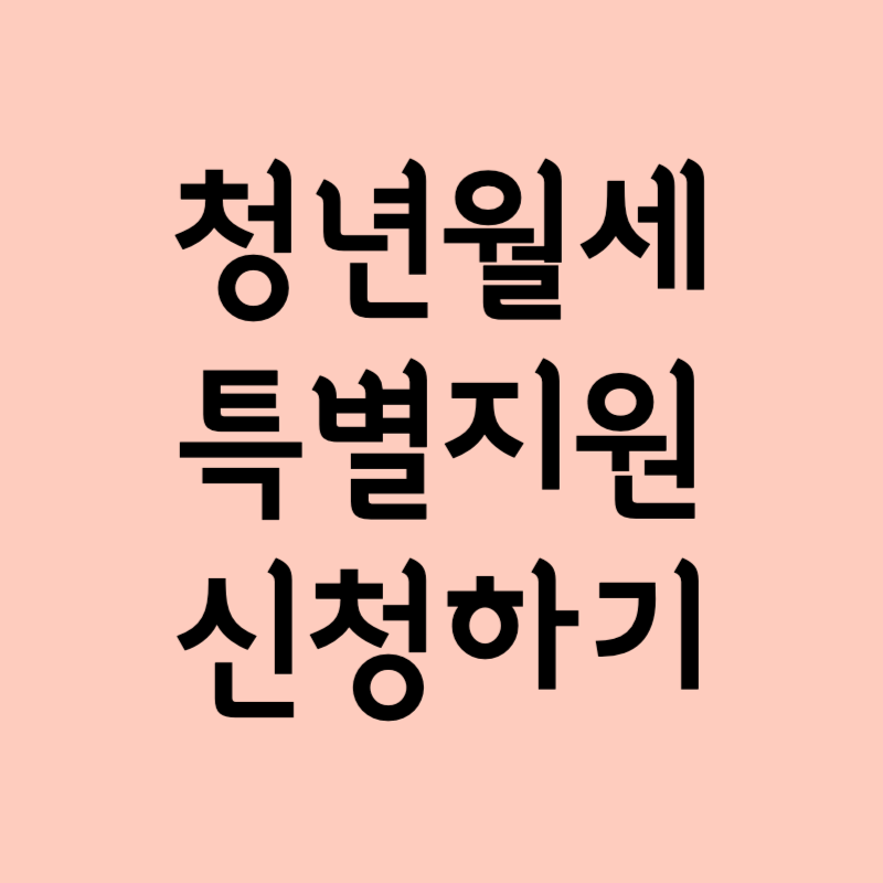 청년월세 특별지원