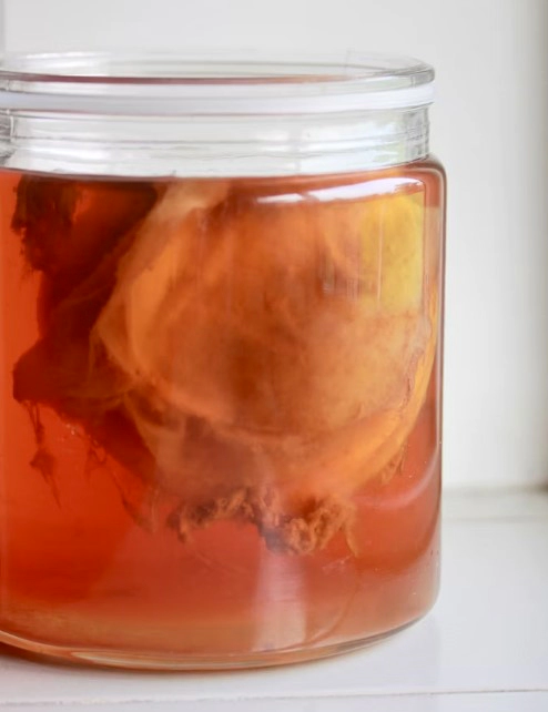 콤부차 하루섭취량